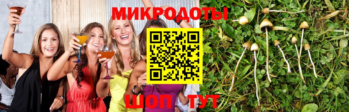 где найти наркотики  Вход с VPN  Нарткала  Галлюциногенные грибы мицелий 