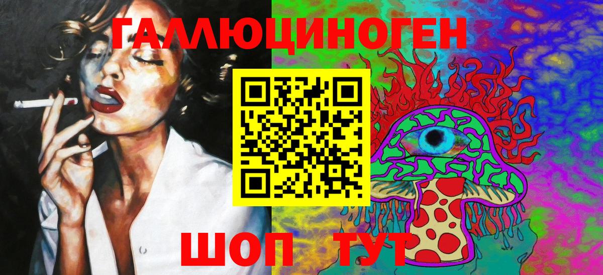 Псилоцибиновые грибы Psilocybe Нарткала